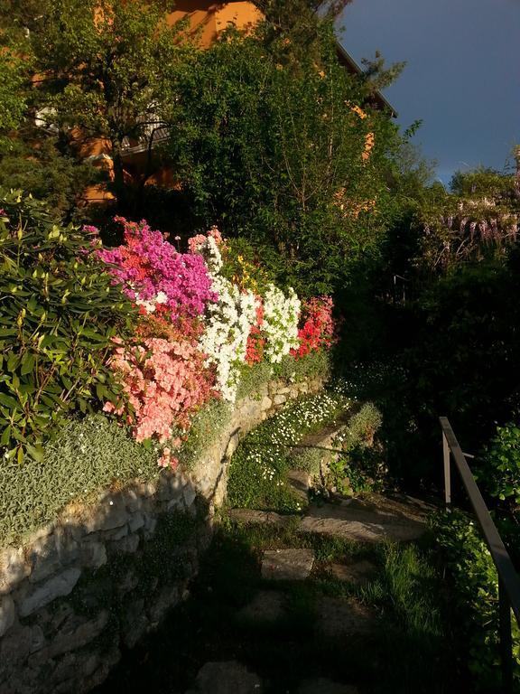 Casa Vacanze Le Violette Villa Брунате Екстериор снимка
